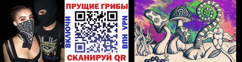 Галлюциногенные грибы Cubensis  Чаплыгин 